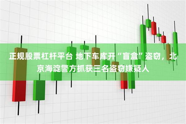 正规股票杠杆平台 地下车库开“盲盒”盗窃，北京海淀警方抓获三名盗窃嫌疑人
