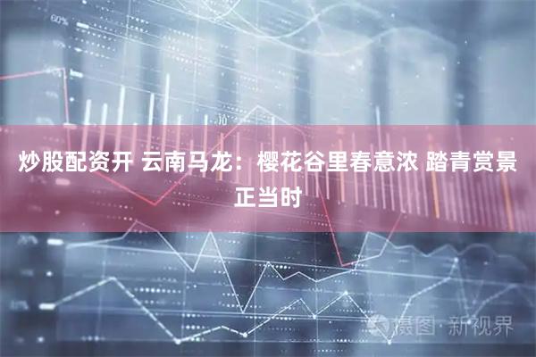 炒股配资开 云南马龙：樱花谷里春意浓 踏青赏景正当时