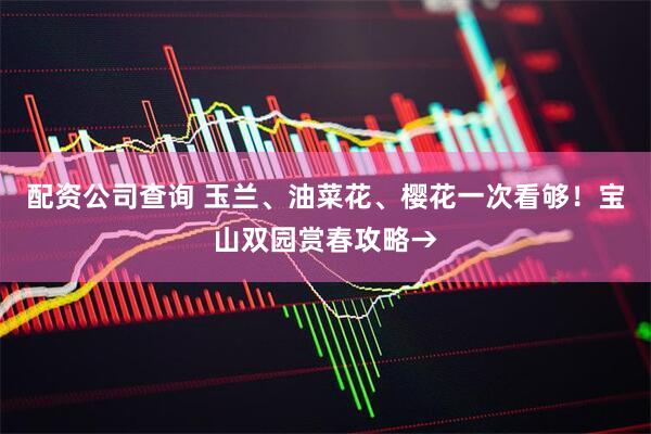 配资公司查询 玉兰、油菜花、樱花一次看够！宝山双园赏春攻略→